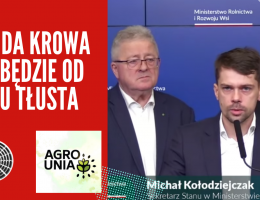 Chuda krowa nie będzie od razu tłusta