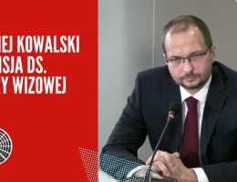 Komisja ds. "afery wizowej"