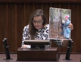 Posłanka Klaudia Jachira - Wystąpienie z dnia 19 grudnia 2023 roku.