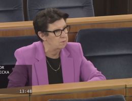 Senator Ewa Matecka - Wystąpienie z dnia 04 grudnia 2024 roku.