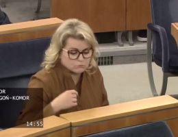Senator Agnieszka Gorgoń-Komor - Wystąpienie z dnia 04 grudnia 2024 roku.