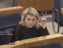 Senator Agnieszka Gorgoń-Komor - Wystąpienie z dnia 18 grudnia 2024 roku.