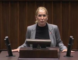 Posłanka Iwona Małgorzata Krawczyk - Wystąpienie z dnia 24 kwietnia 2025 roku.